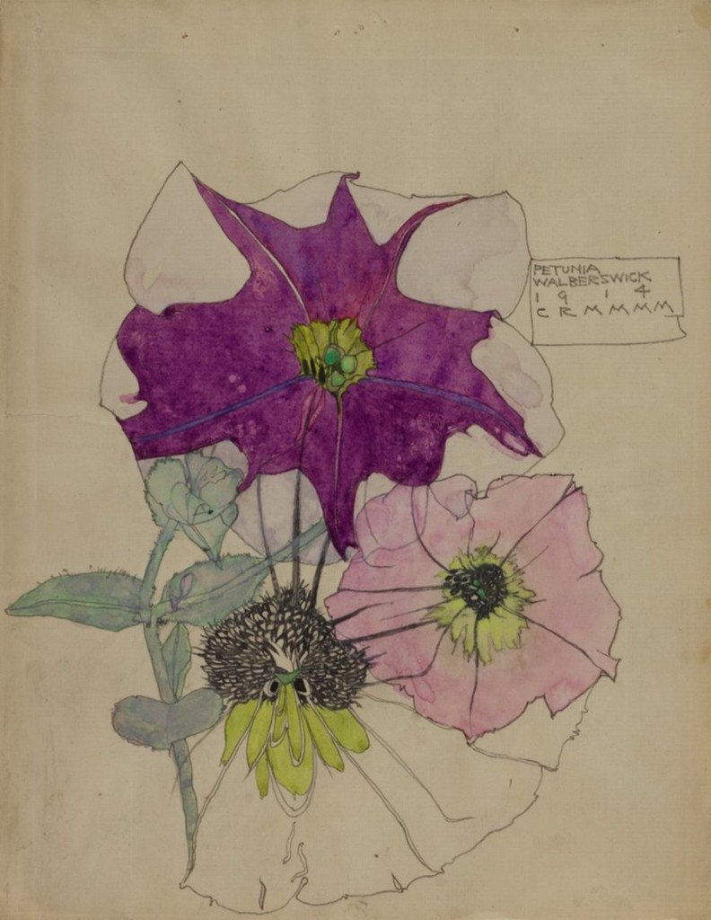 petunia, walberswick 1914