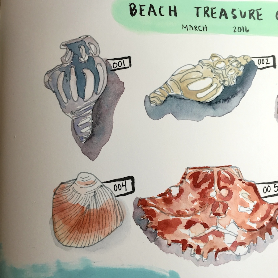 beach treasure