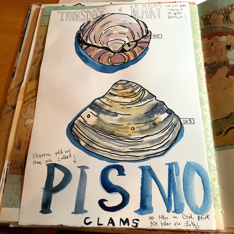 pismo clams