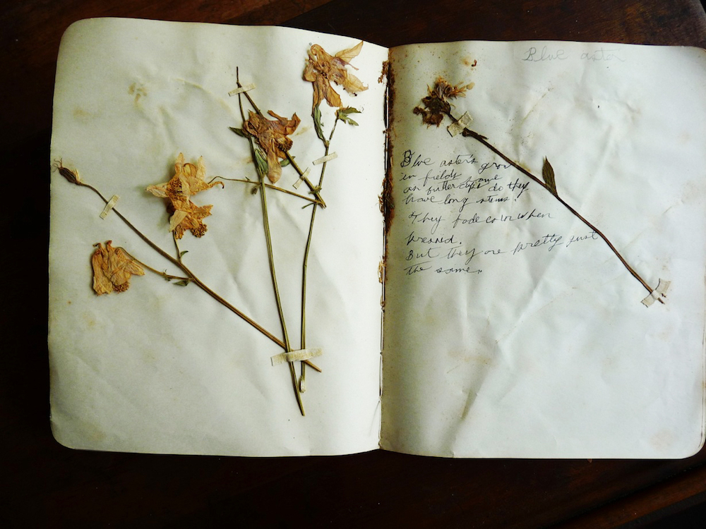 How to DIY a vintage flower press from old damaged books