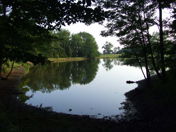 Kentucky 2008 version of Walden Pond, 5 July 2008