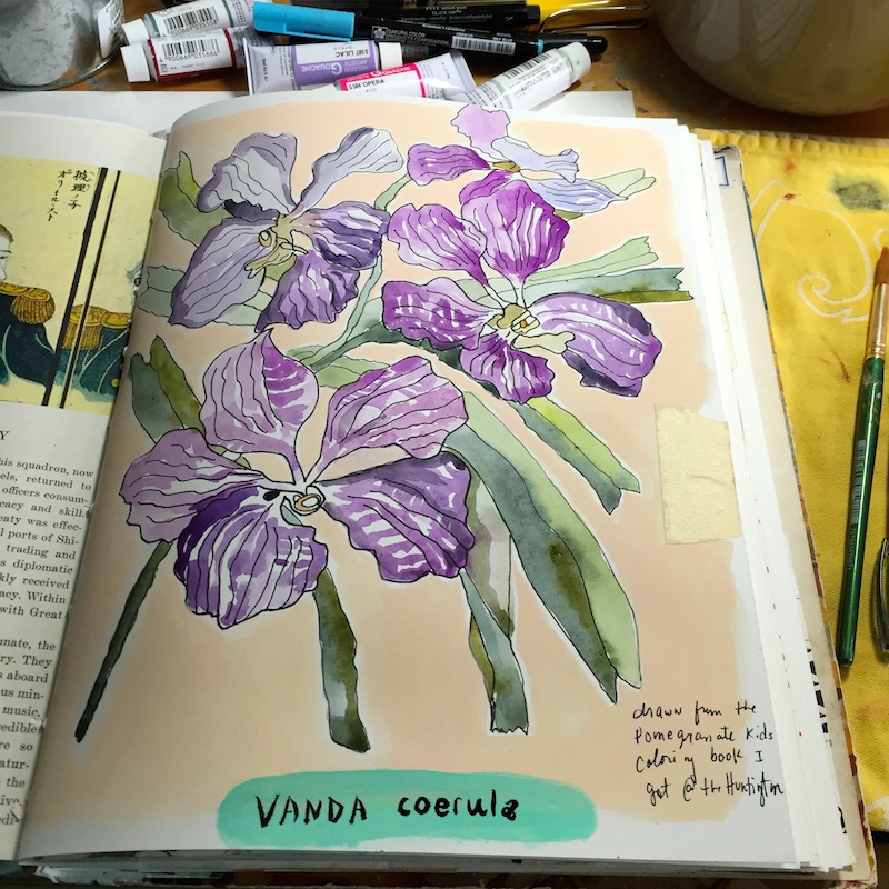 coloring book orchids