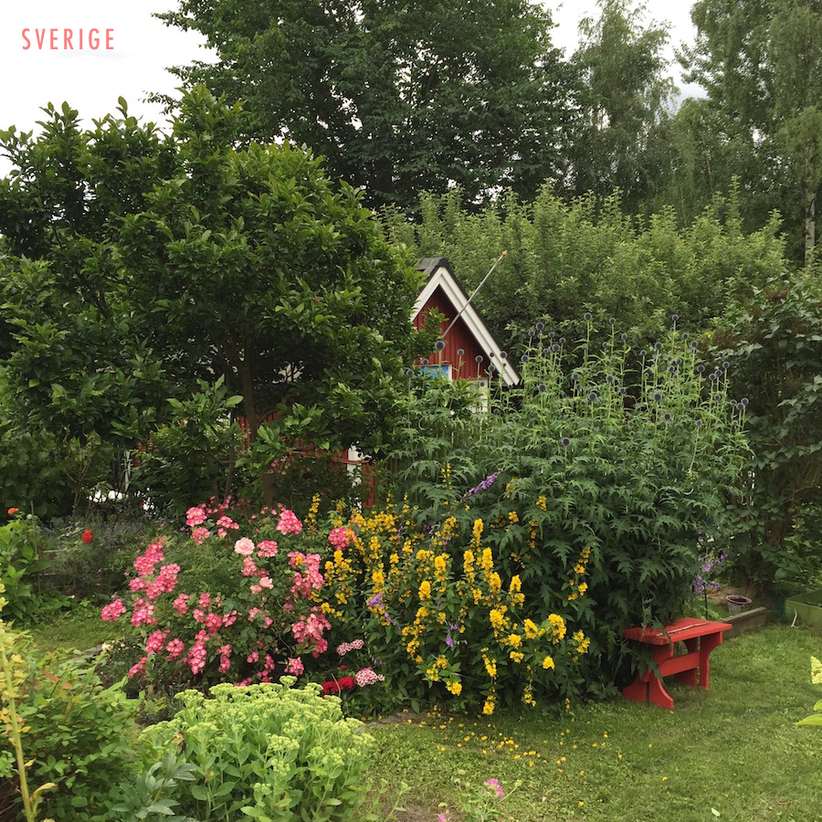 swedish garden